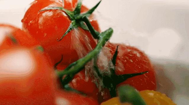 趣读丨中国人嗑过最长情的CP，叫番茄炒蛋