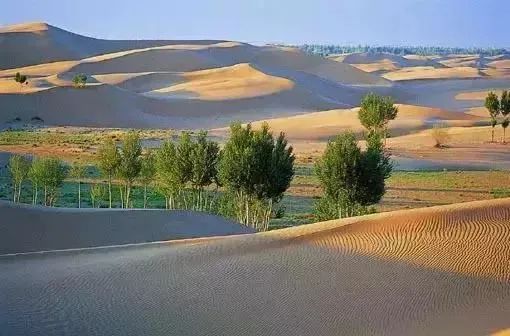 库布齐沙漠治理遥感影像,内蒙古自治区库布齐立体治沙