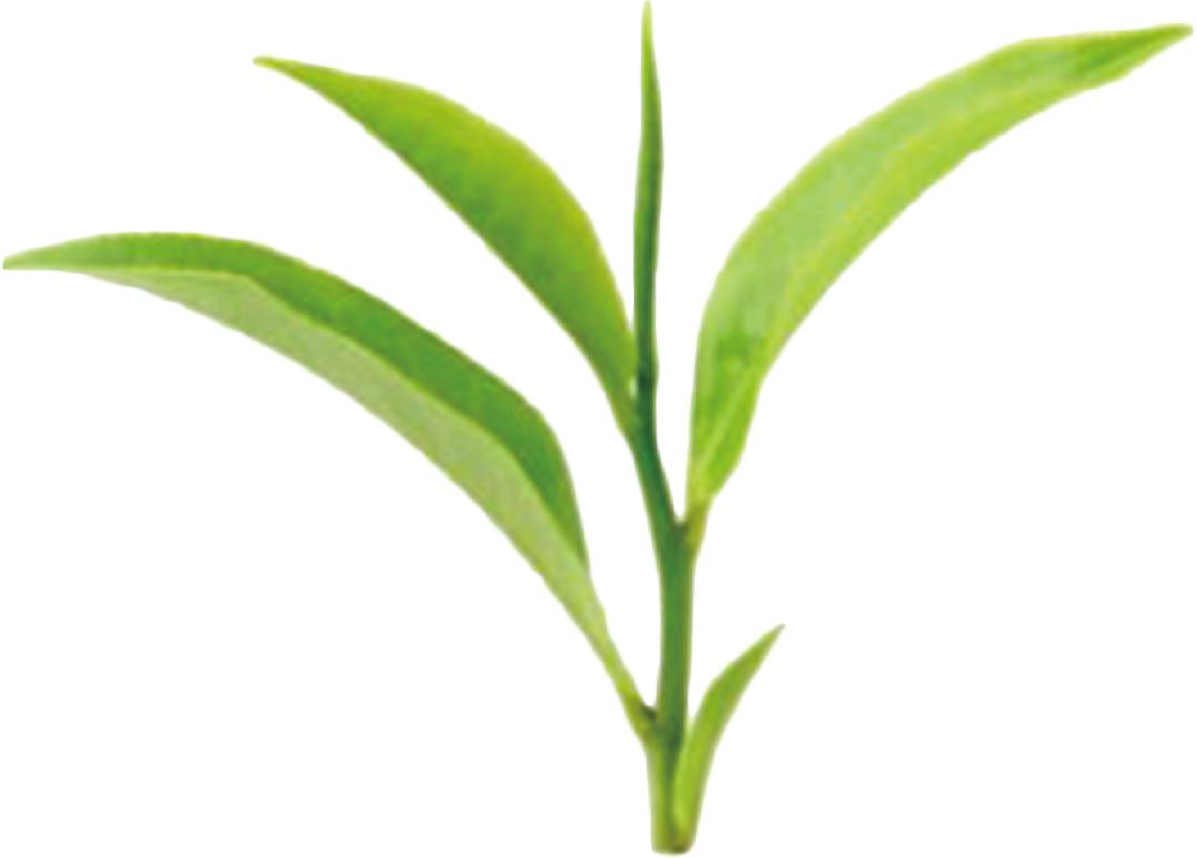 无锡热门旅游城市线路,无锡景点最佳旅游路线推荐