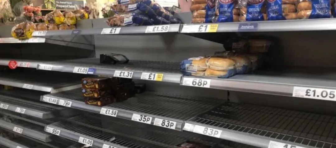 鲁迅美院美术校考,24年鲁迅美院校考招生简章