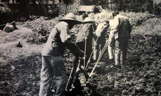 刘同山等:从大包干到现代农业发展:安徽凤阳县的经验与启示