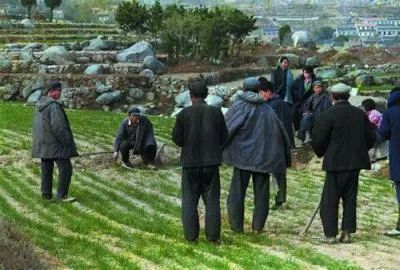 刘同山等:从大包干到现代农业发展:安徽凤阳县的经验与启示