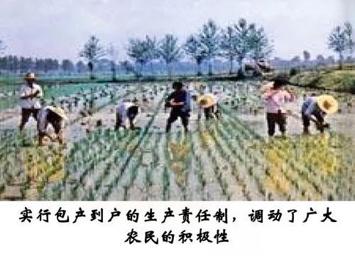 刘同山等:从大包干到现代农业发展:安徽凤阳县的经验与启示