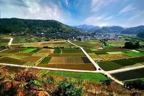 刘同山等:从大包干到现代农业发展:安徽凤阳县的经验与启示