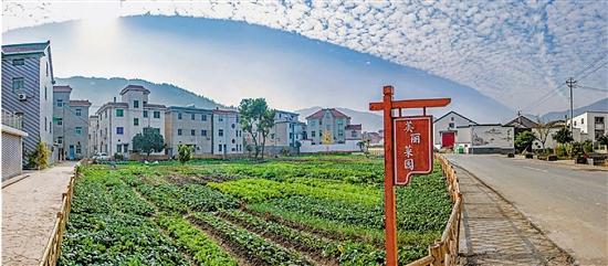 区块链在农业上的运用,区块链创新基层治理