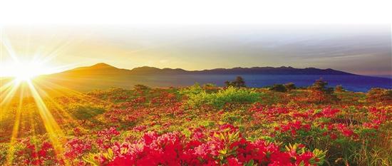 区块链在农业上的运用,区块链创新基层治理