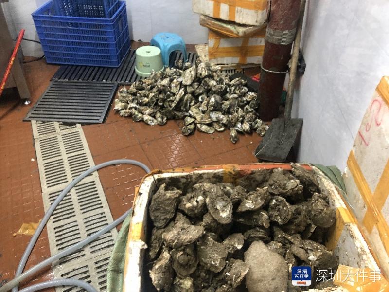 男子在餐厅用餐突然呕吐,50岁吃了生蚝上吐下泻是怎么回事