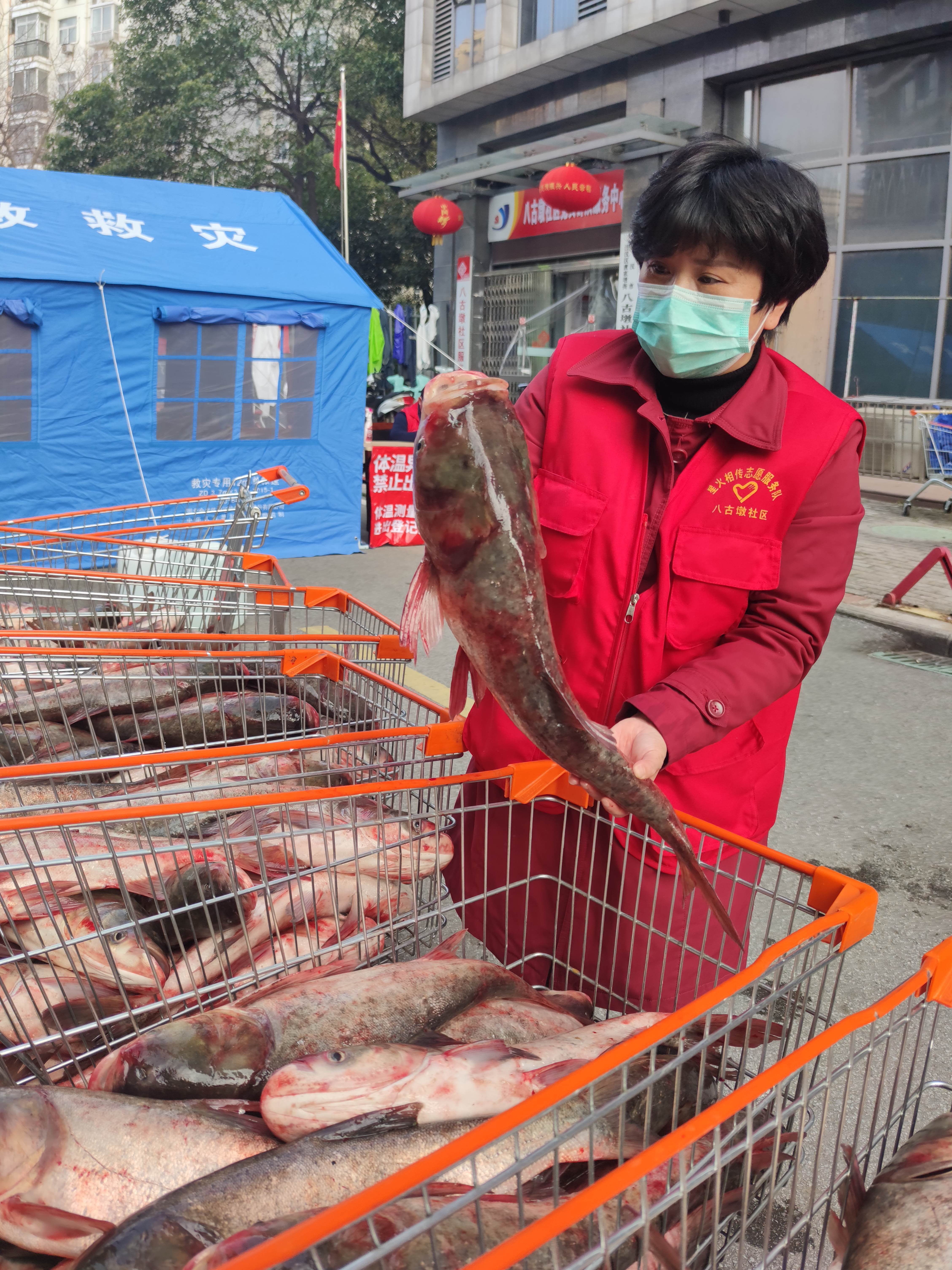 武汉市八古墩,致敬社区保卫战