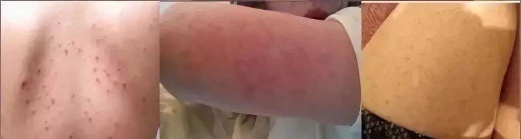 极度舒适！搓泥+起泡，效果赛过100个搓澡大妈！感觉人生到达了高潮