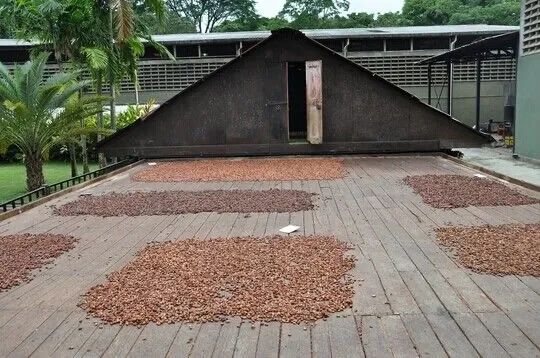 烘焙巧克力的基本知识,烘焙巧克力的基础知识