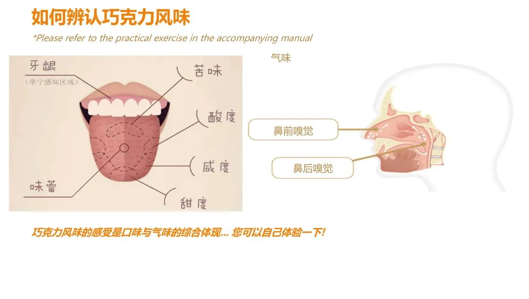 烘焙巧克力的基本知识,烘焙巧克力的基础知识