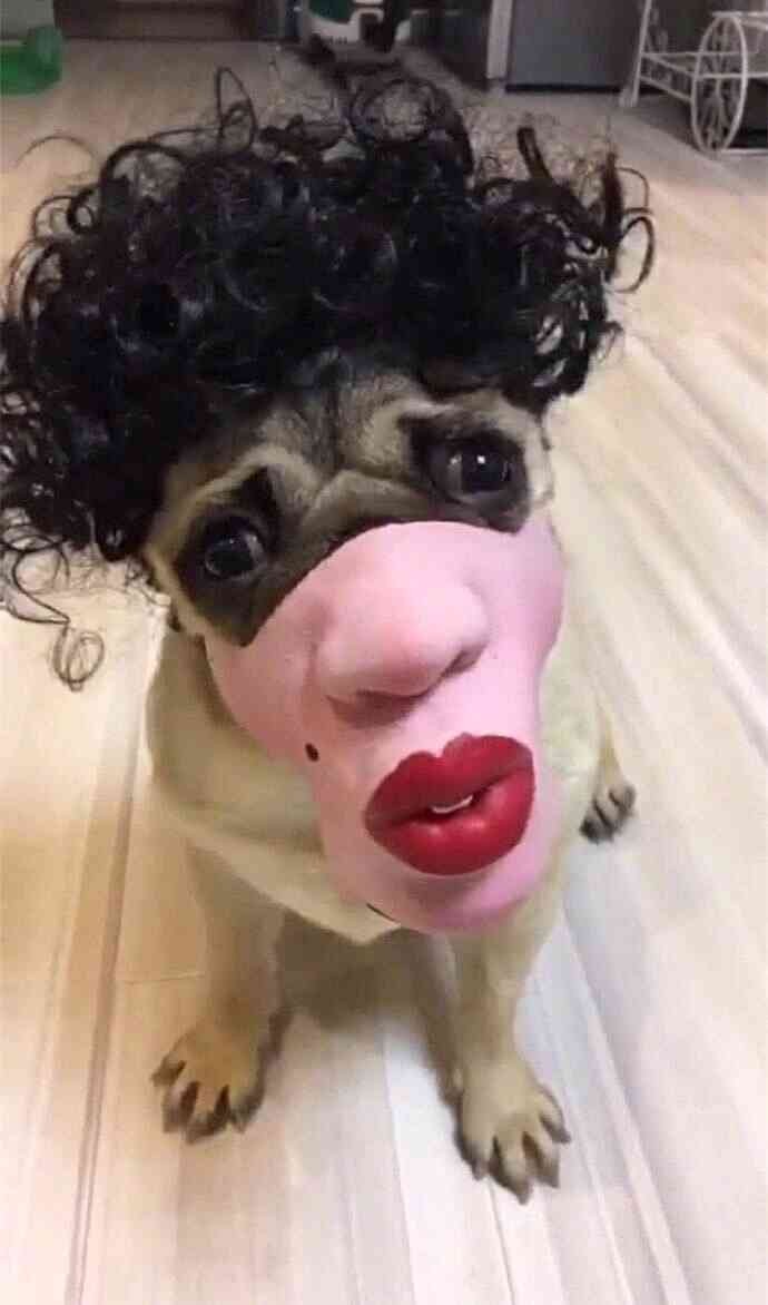 夜钓灯可以自己改亮度吗,夜钓灯如何改造使光圈变大