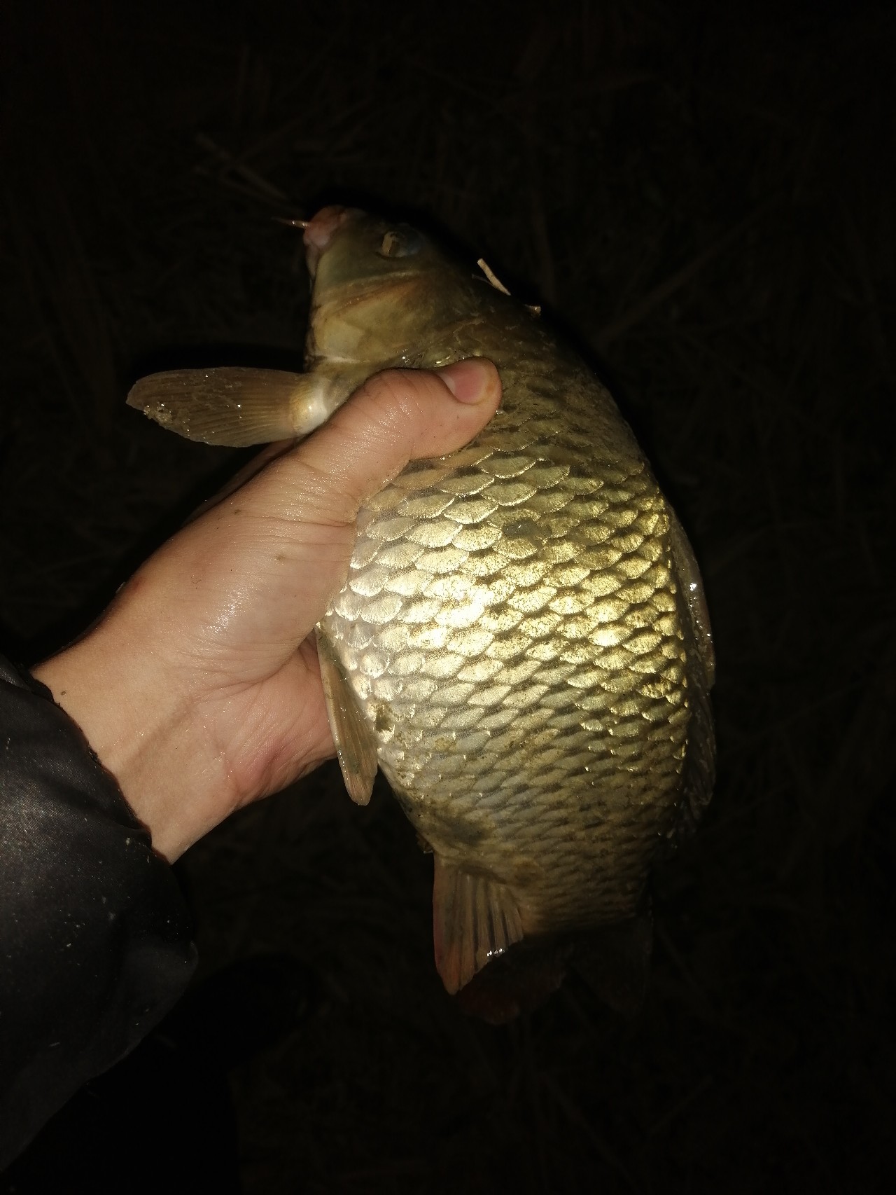 夜钓灯可以自己改亮度吗,夜钓灯如何改造使光圈变大