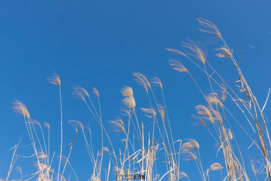 长沙国金中心冰激凌网红打卡,长沙美食推荐网红打卡地