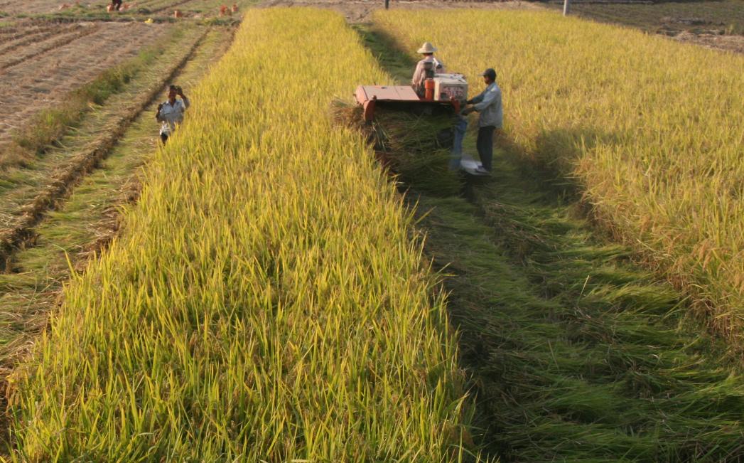 一季度永康经济数据,永康市经济发展情况