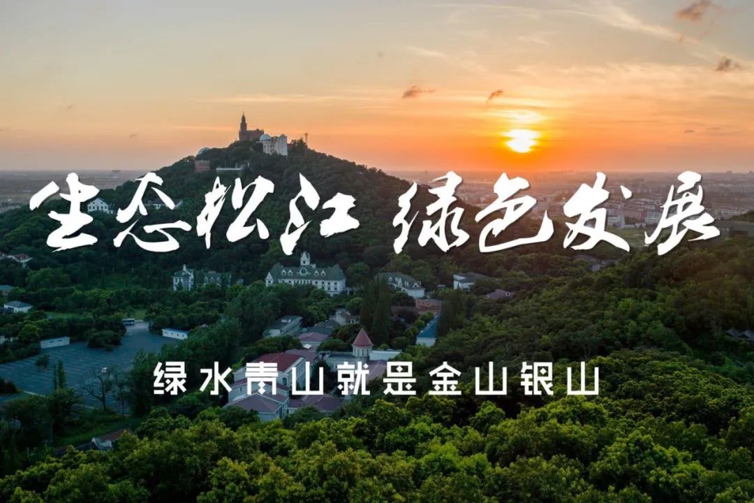 松江新桥镇有发展前途吗,松江新桥那边发展如何