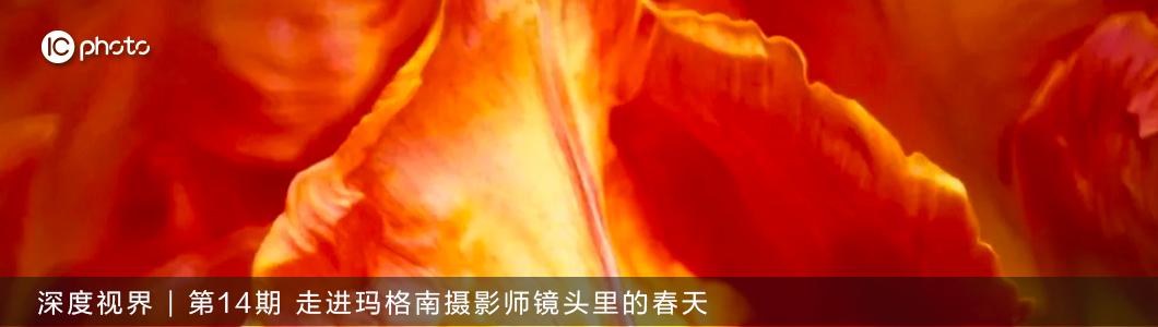 ICTalk｜拍摄一场国足比赛，我要按4000次快门