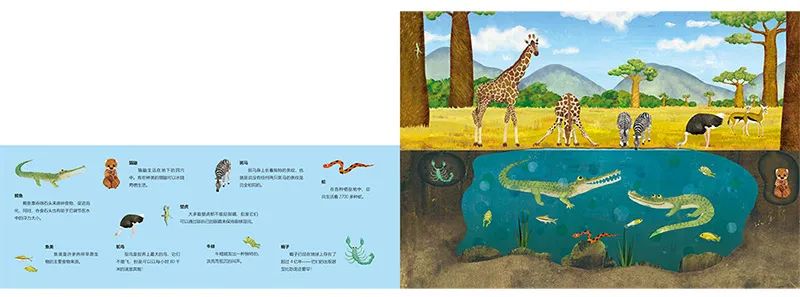 2021书香节当当优惠码,书香节当当大额优惠券