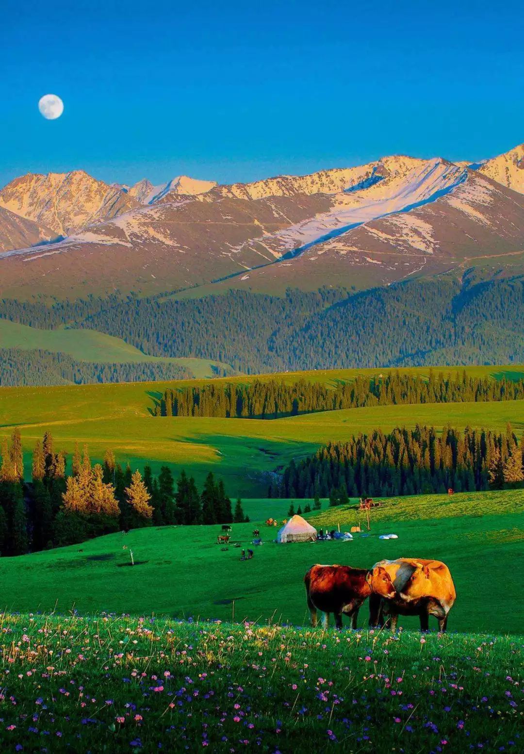 北疆的水美,北疆的美歌曲完整版