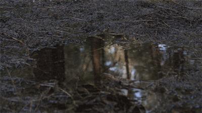 厉害了!这把伞一键自动开收伞,能抗8级大风