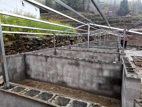 能否就近实现老农的“种菜梦”呢？看看白河县这个村的“云菜店”和“微菜园”