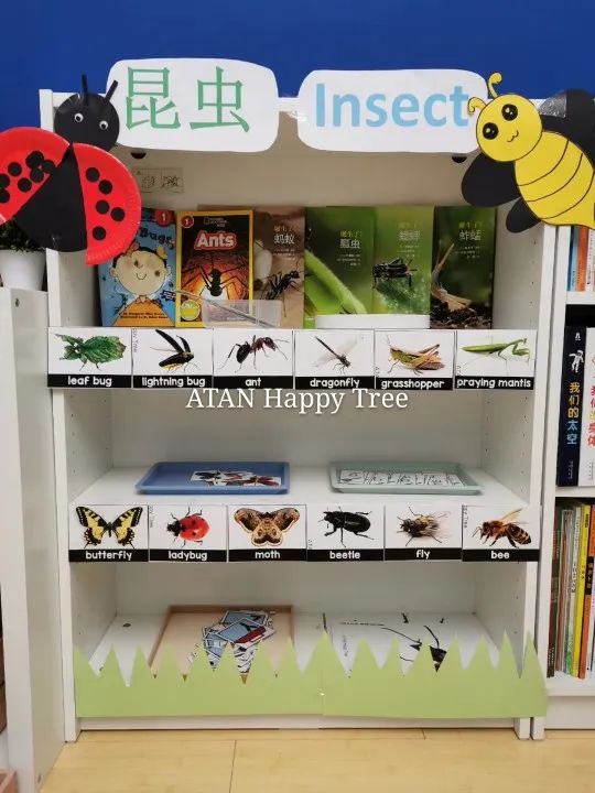 这个简单的柜子，居然包办了我家娃的早教