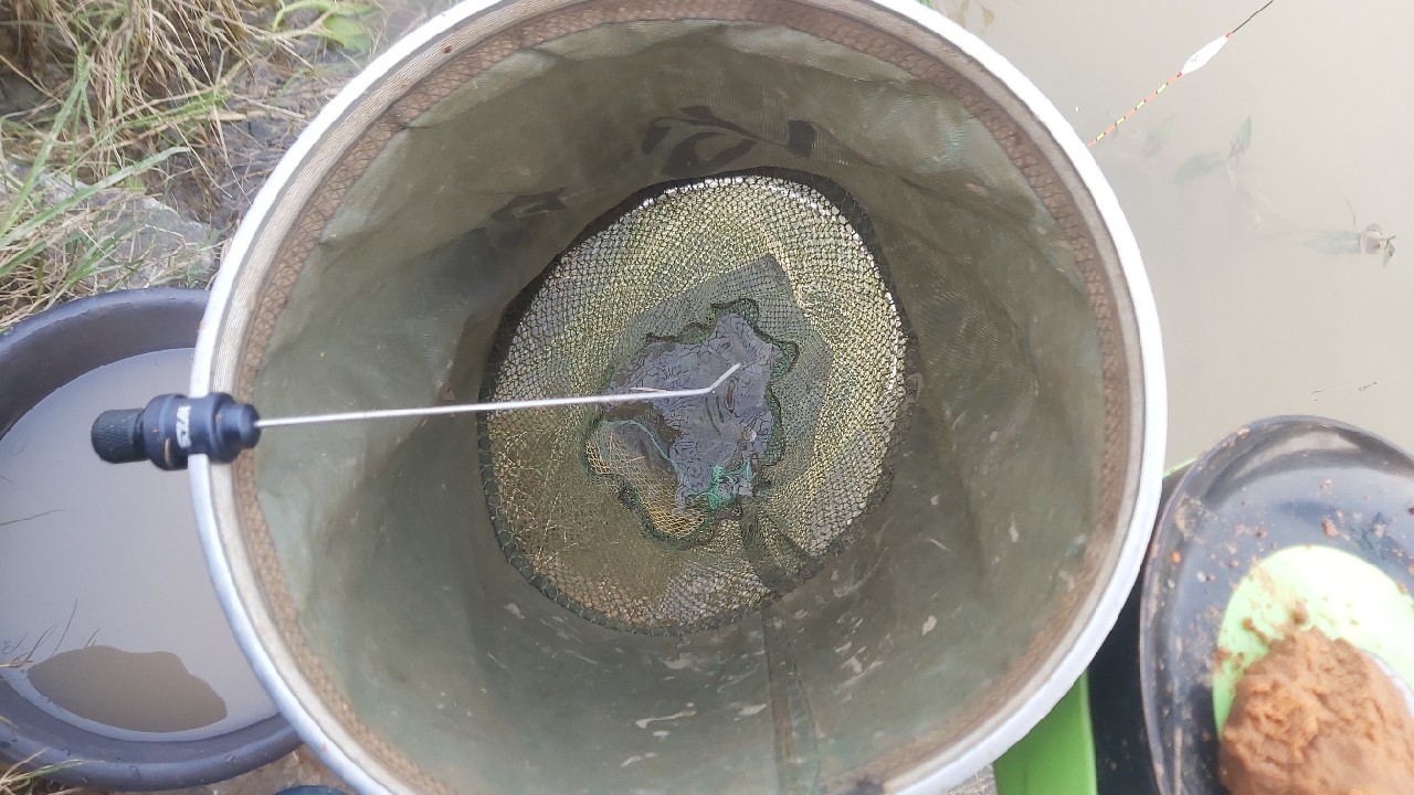 邕江巴西军团覆灭小记，钓友全军出击