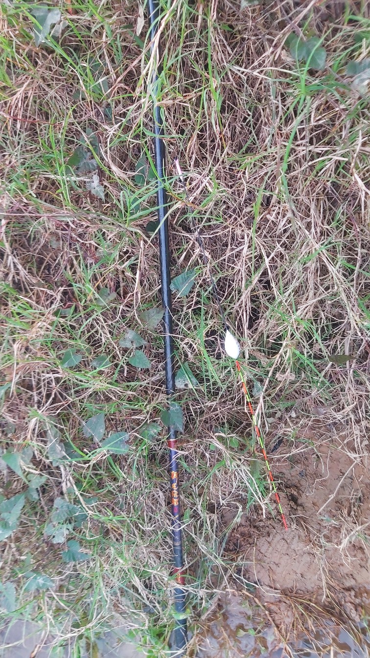 邕江巴西军团覆灭小记，钓友全军出击