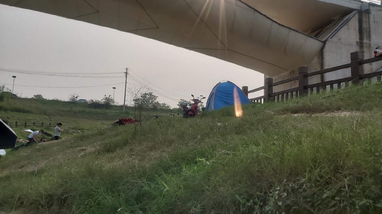 邕江巴西军团覆灭小记，钓友全军出击