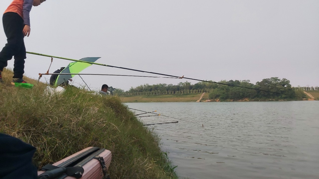 邕江巴西军团覆灭小记，钓友全军出击