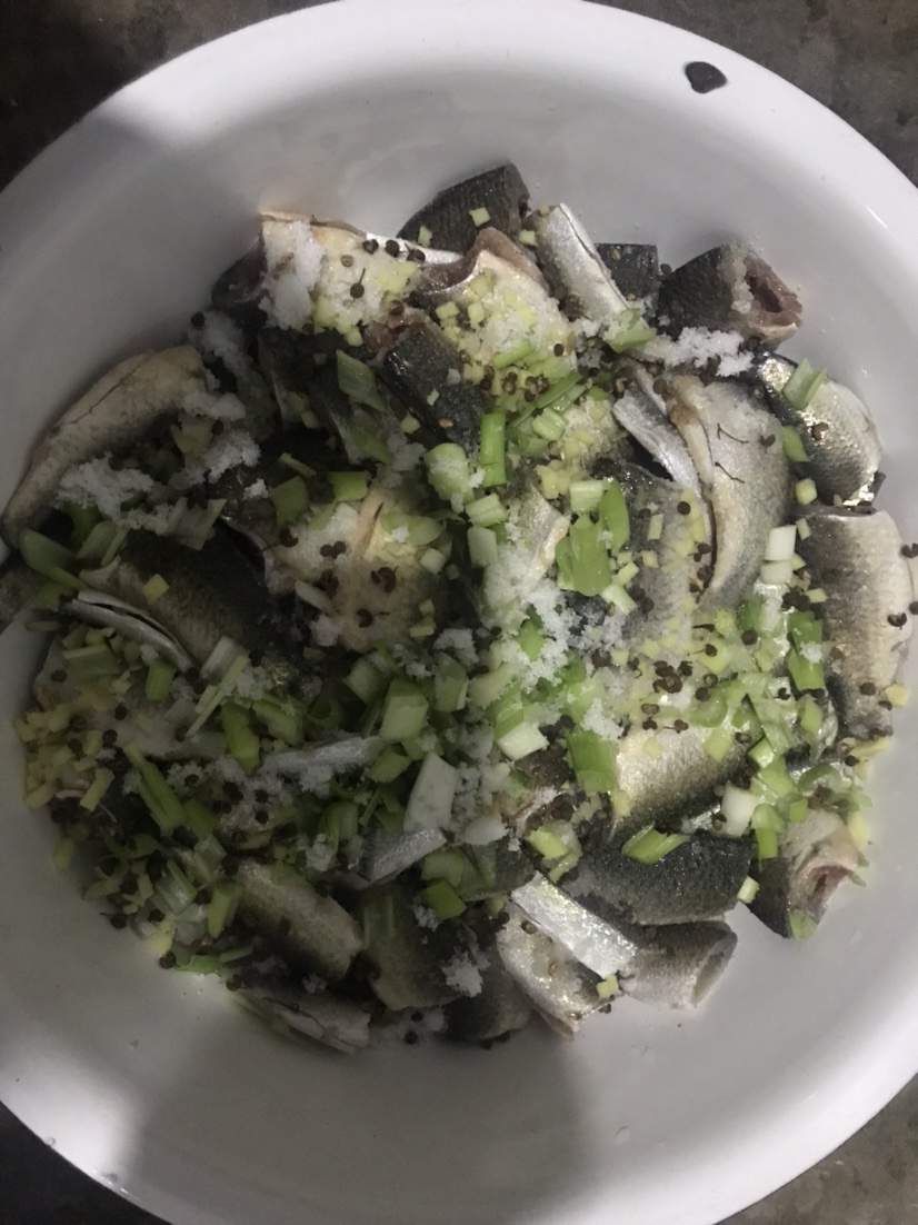 「春季开钓」分享薯香配料制作和蚯蚓的保鲜方法