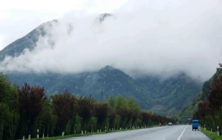 好茶不怕晚，好茶很好喝……今年不容易，好茶还不贵！“特惠版”东坑“雨前茶”今天上线