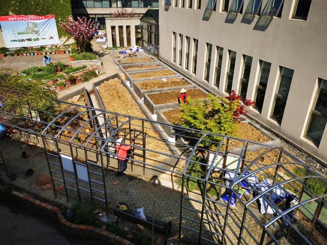 履职尽责在行动,在行动上履职尽责