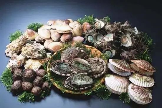 吃完生蚝后上吐下泻是什么原因,每次吃生蚝上吐下泻是什么原因