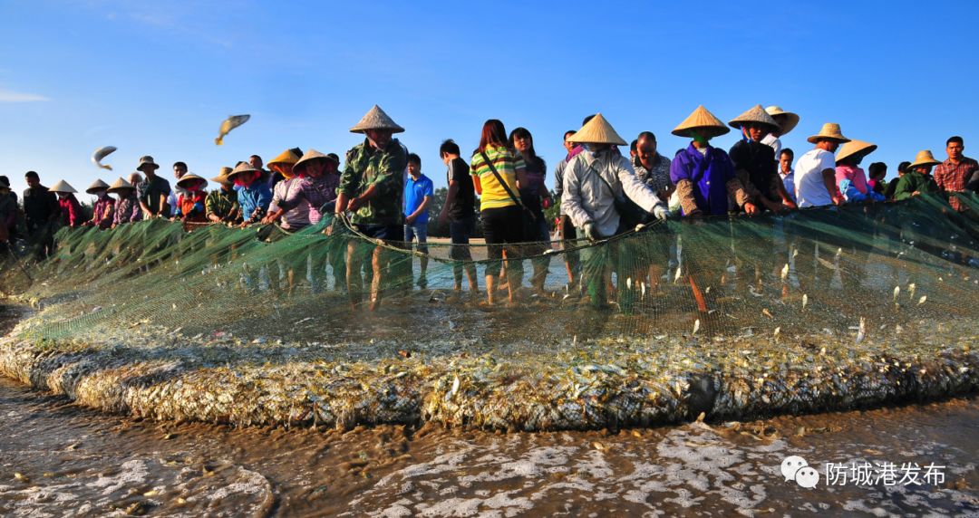 防城港休渔期海鲜贵吗,防城港休渔期时间表
