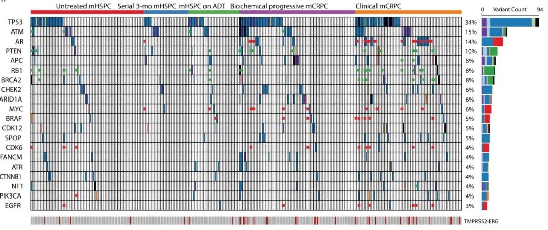 lancet子刊研究证实,lancet新子刊