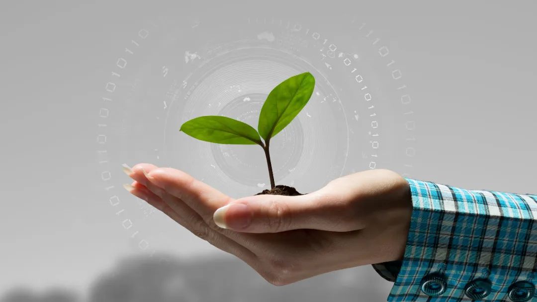 如遇人肉搜索和恶意举报,应当如何法办?解读来了!