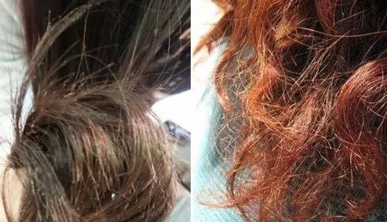 好用护发精油网红,护发精油0.1秒杀