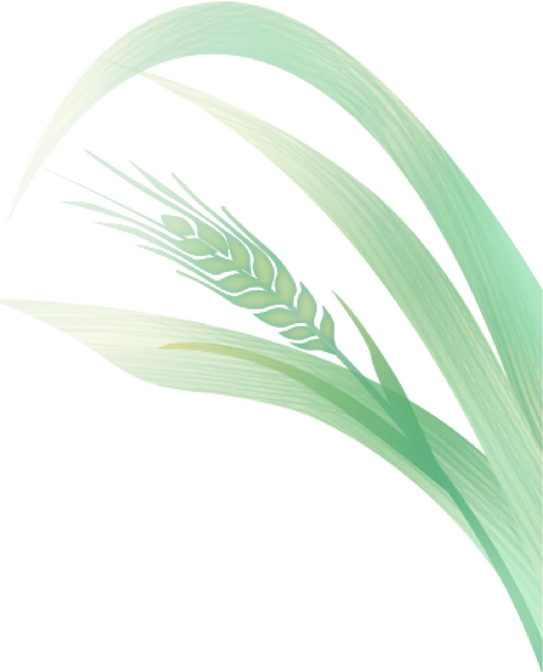 厉害了!把手机变成新农具,萧山所前女镇长带着村嫂直播带货!