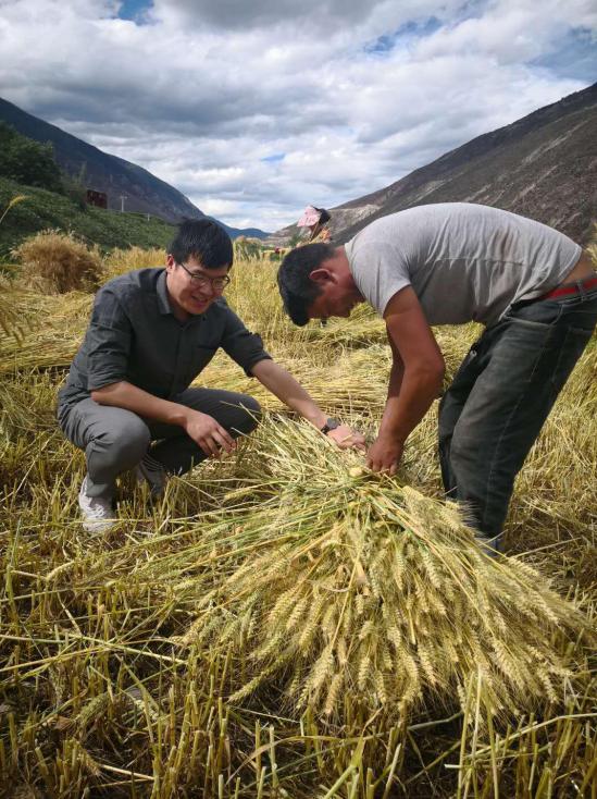 90后藏族青年返乡创业,创业圆梦藏区