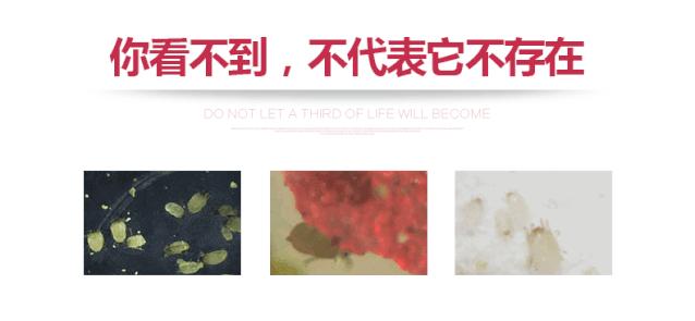 一穿就上瘾的*裤内**！清爽不闷汗，柔软有弹性，下身像风一样自由