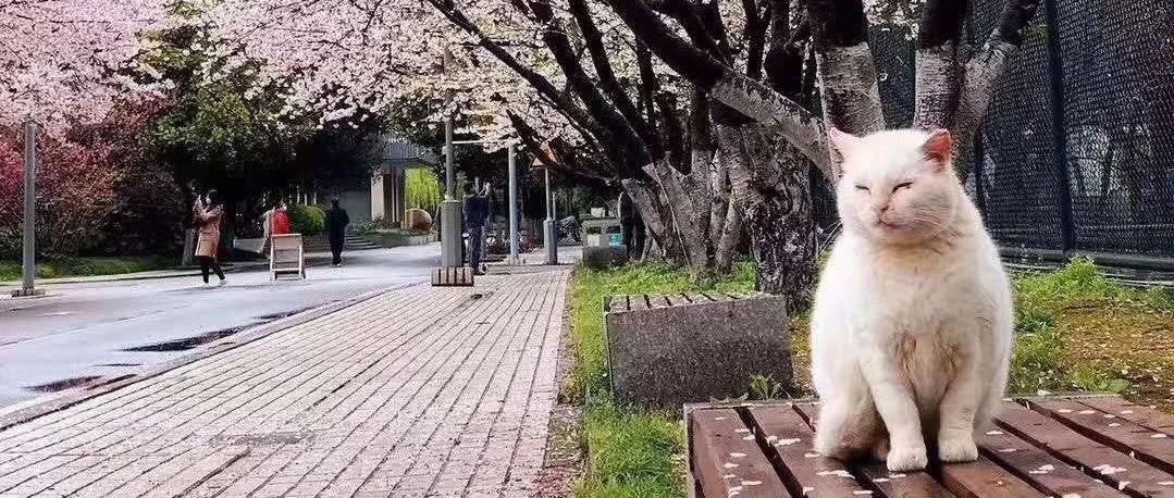 证监会对股票质押登记有何规定,证券质押新规