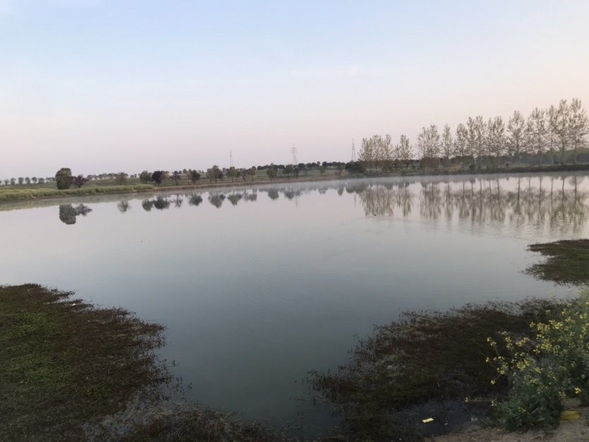 春天河边钓鱼技巧视频,春天水库钓鱼技巧