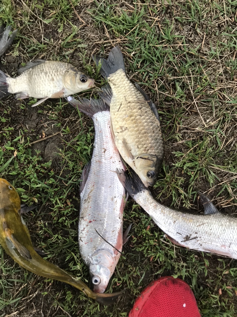 春天河边钓鱼技巧视频,春天水库钓鱼技巧