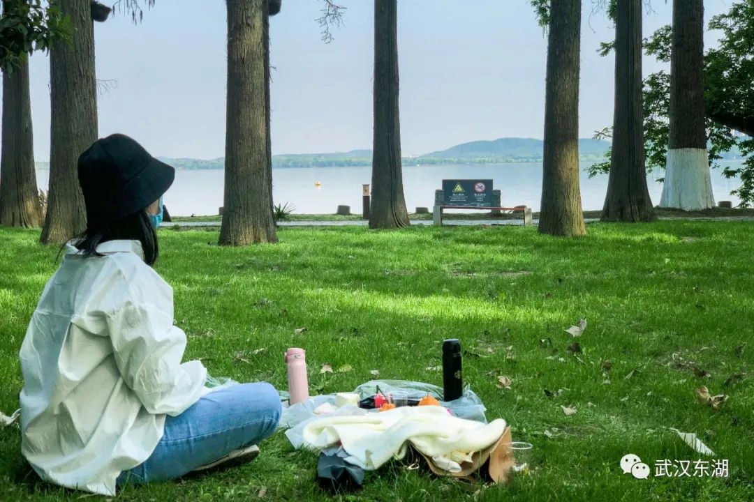 武汉解封后,我最先奔向了东湖