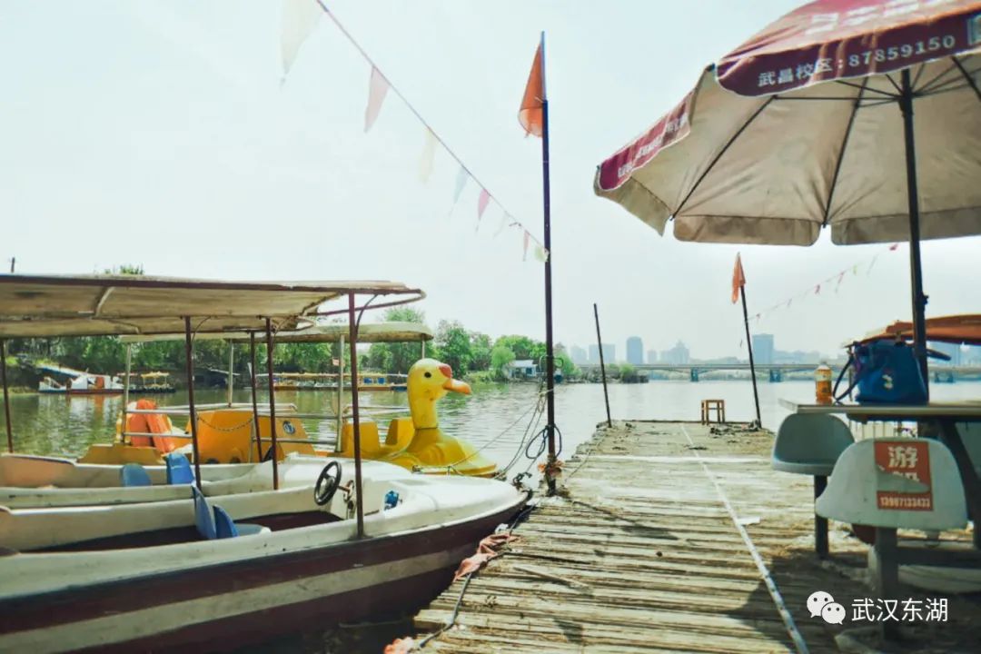 武汉解封后,我最先奔向了东湖