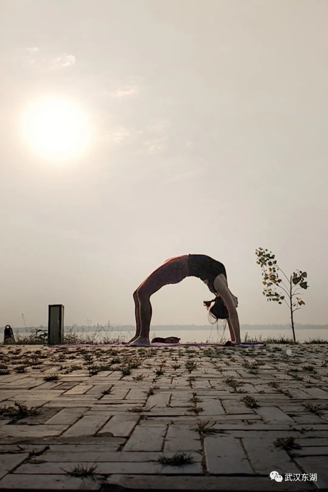 武汉解封后,我最先奔向了东湖