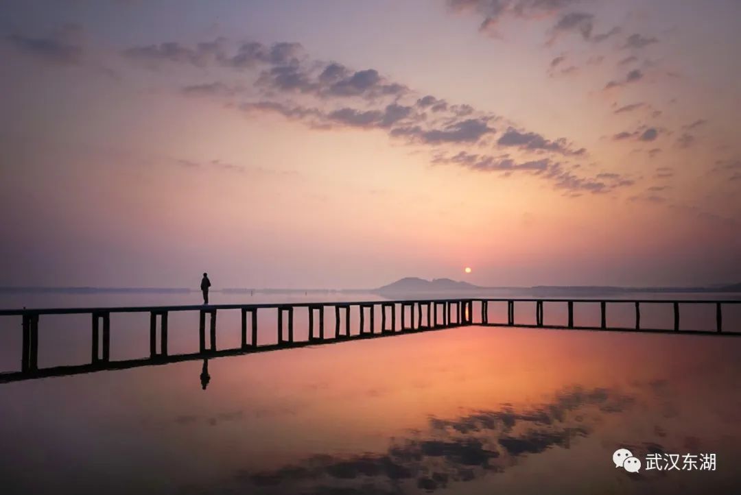 武汉解封后,我最先奔向了东湖