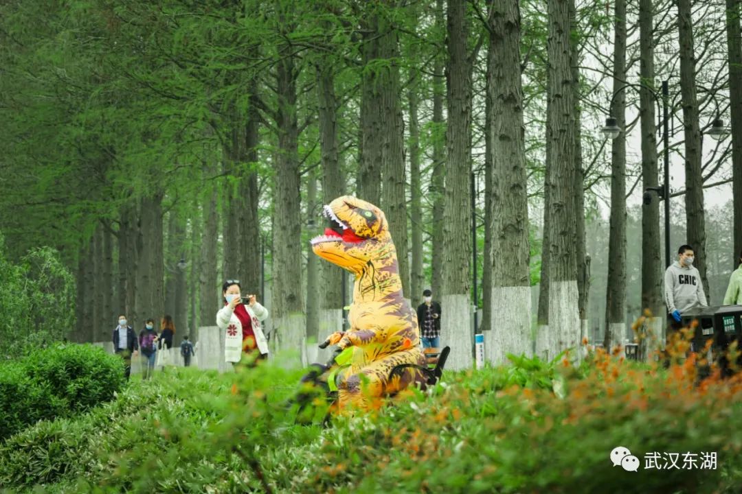 武汉解封后,我最先奔向了东湖