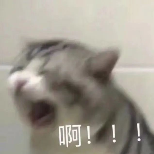 公交车到哪儿了用什么软件搜,公交车在哪个软件看